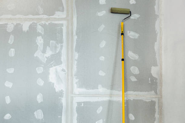 Reliable Powell, WY Mold Removal Solutions