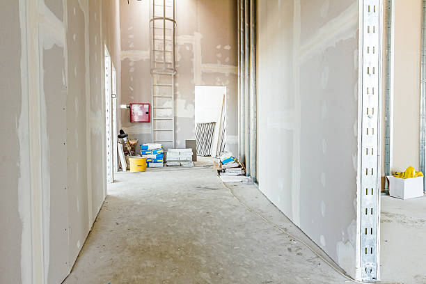 Best Mold Damage Restoration  in Powell, WY