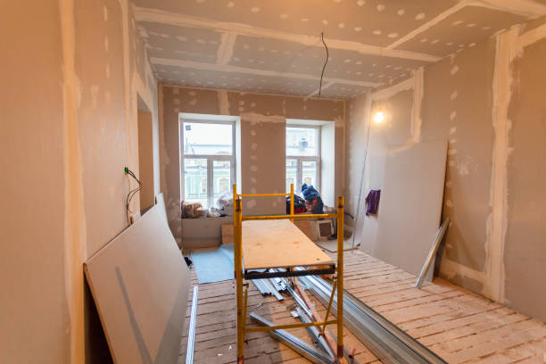 Environmental Consulting for Mold Prevention in Powell, WY
