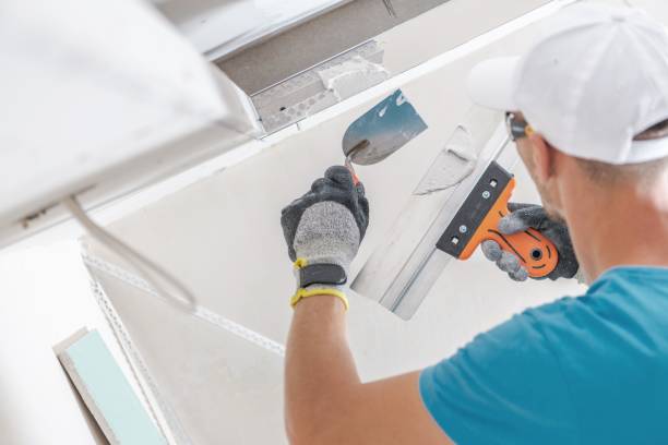 Best Mold Remediation for Vacation Homes  in Powell, WY